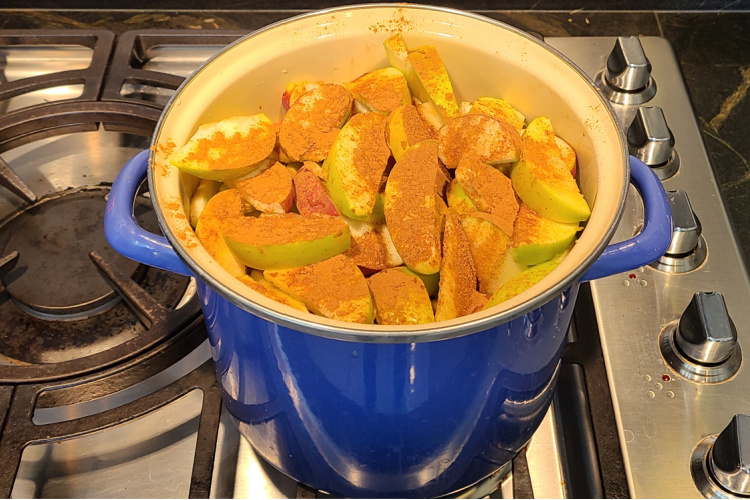 Unsweetened homemade applesauce