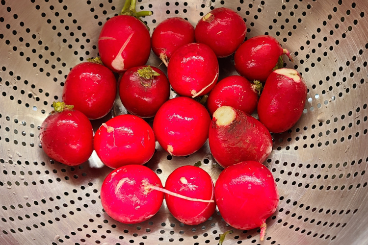 hearty beef stew with radishes