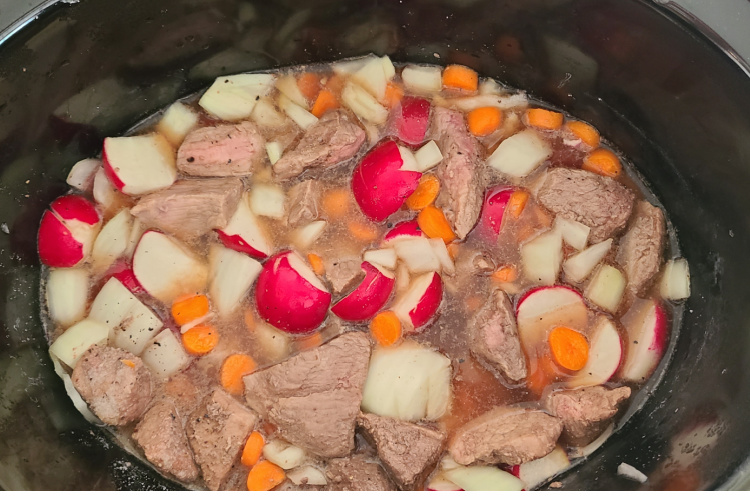 hearty beef soup with radishes