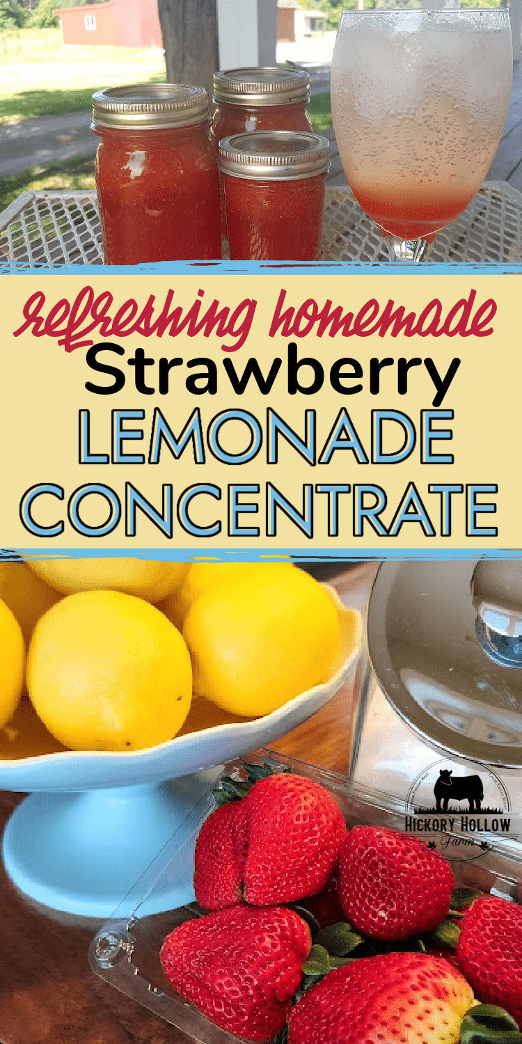 How to Can strawberry lemonade concentrate