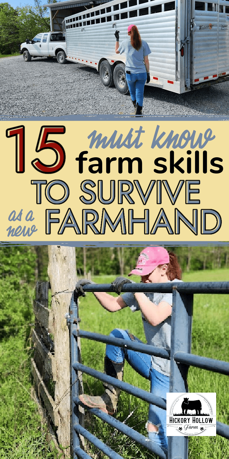 15 farm skill tips to help your survive your first summer farmhand job!