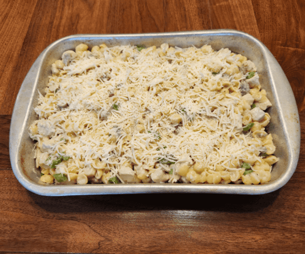 chicken and Italian sausage pasta with white sauce