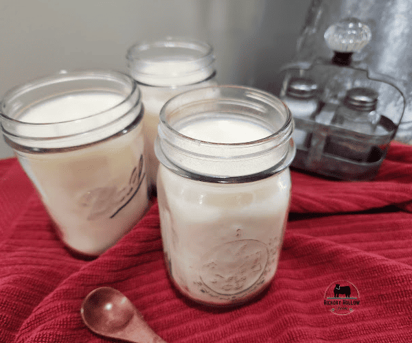 how to make beef tallow render