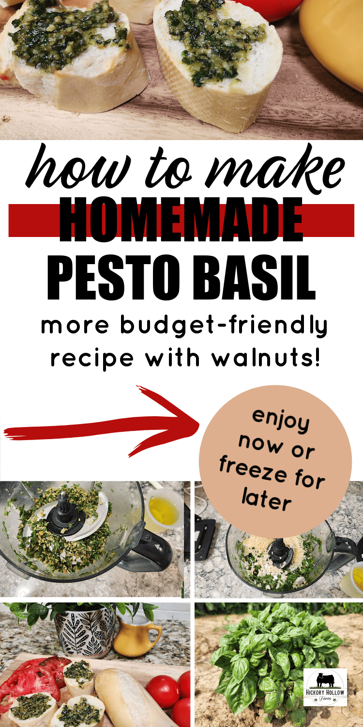 homemade basil pesto recipe! Budget-friendly recipe with walnuts. Preserve your basil.