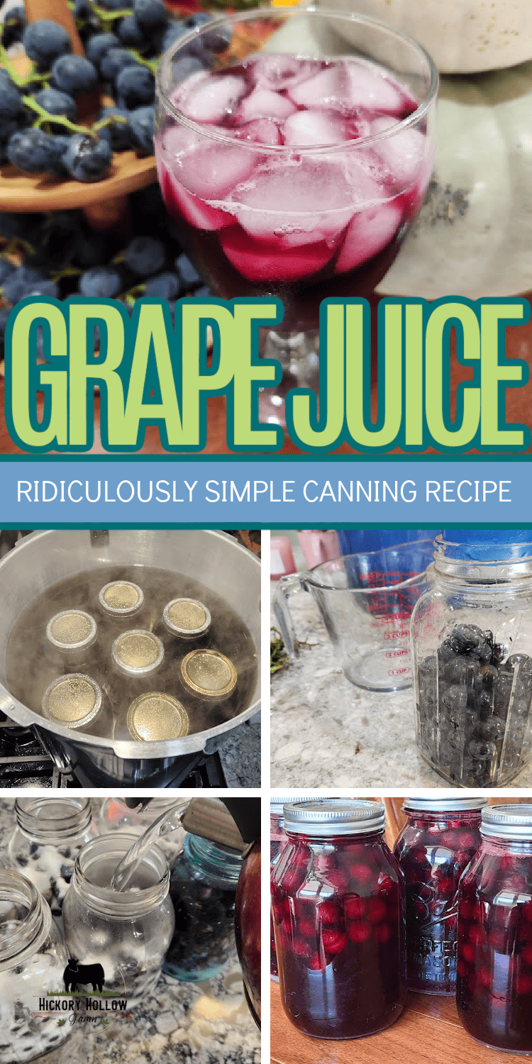 Grape Juice - Healthy Canning in Partnership with Canning for