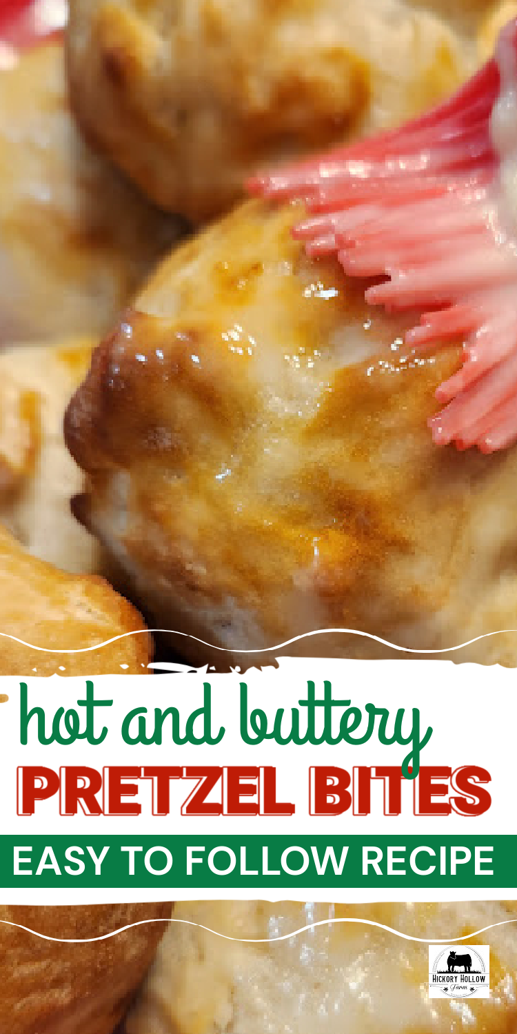 Soft pretzel bites are the perfect snack food or appetizer! Easy recipe! 