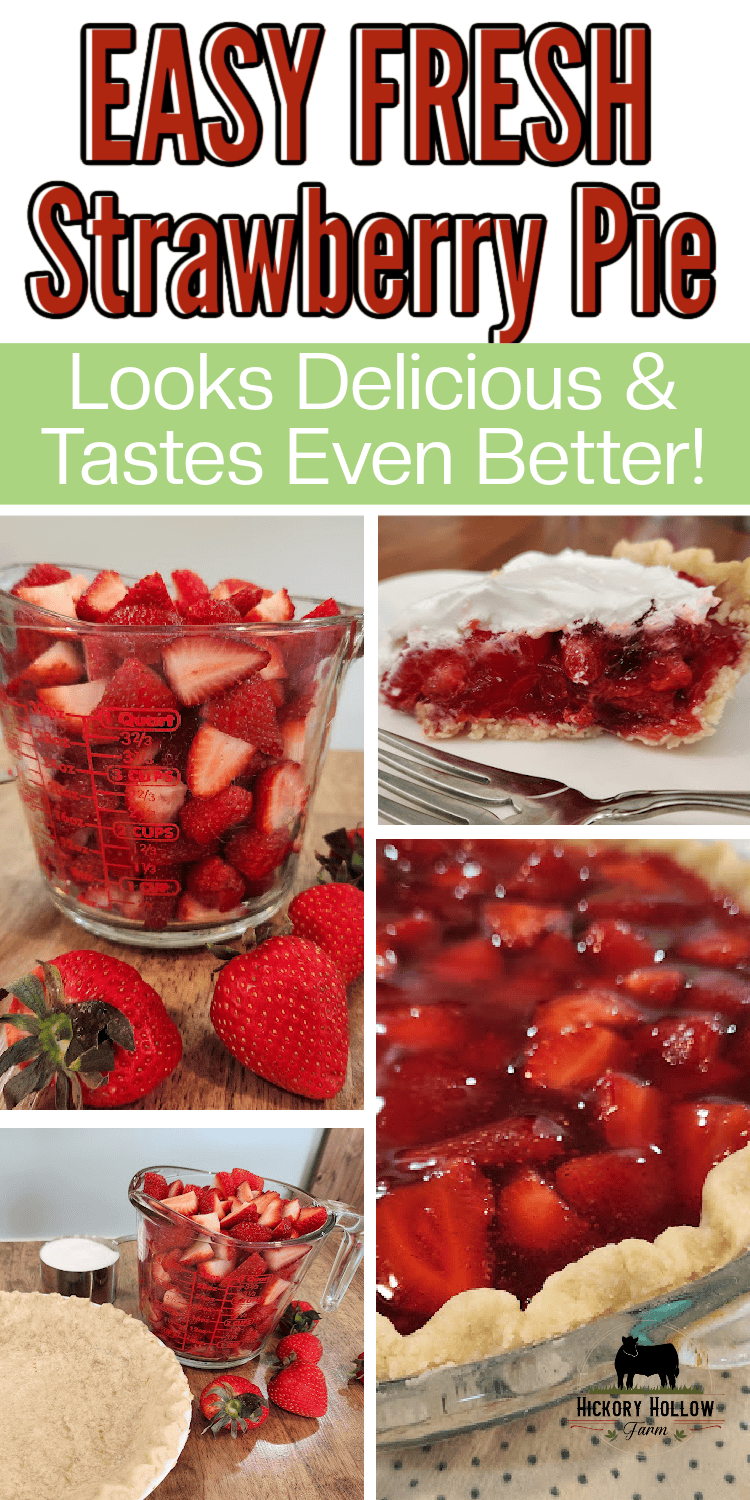 Best Ever Fresh Strawberry Pie. This pie is so easy and tastes amazing! The strawberry pie filling is made with fresh berries, Thermflo, and just a little bit of jello powder. The results is a pie that stays fresh and delicious for days. Easy desserts. Summer desserts. Strawberry pie with jello.