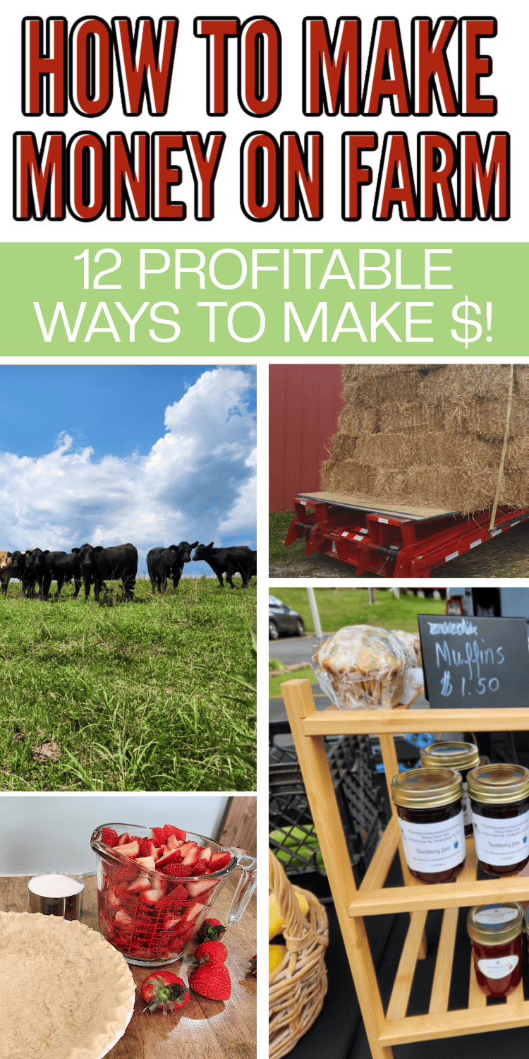 how to make money on a farm