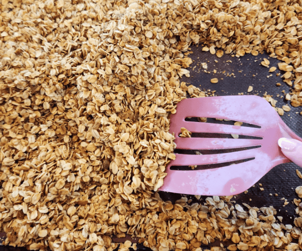 Homemade granola with oats and honey recipe