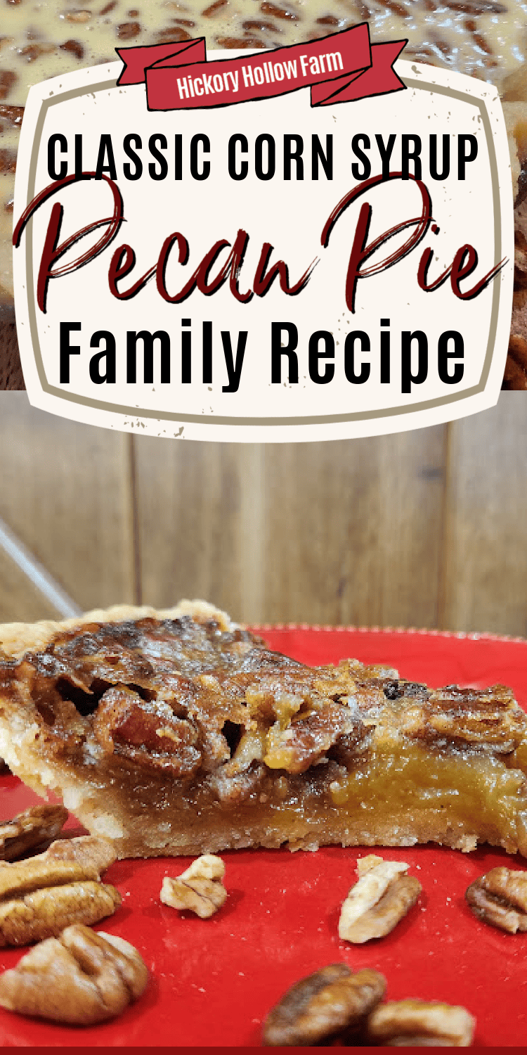 Pecans, butter, and light corn syrup create a rich caramel pecan filling in this perfect holiday or special occasion pie. Best Family Pecan Pie Recipe.